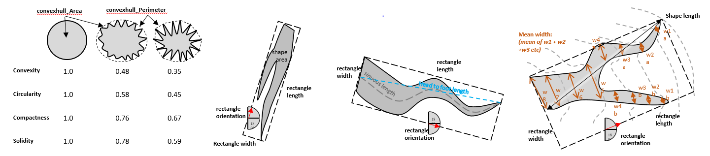 _images/shape_attributes3.png